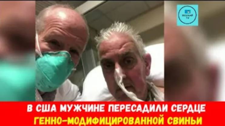 В США мужчине пересадили сердце генно модифицированной свиньи смотреть онлайн