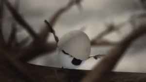 *круиз*рассекая небеса*Утренняя Звезда*