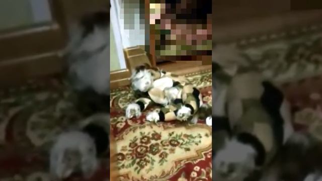 В одежде