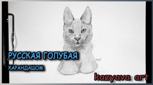 Как нарисовать кошку породы РУССКАЯ ГОЛУБАЯ карандашом. Рисую шерсть. Поэтапное рисование