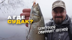 Ловля спиннингом с берега Жерех и Судак весной