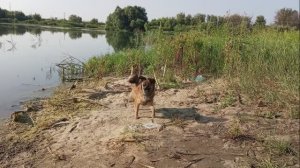 Виталий и Зоя в деревне - События дня, дела житейские