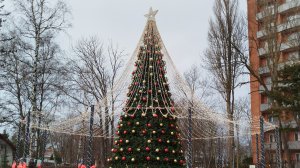 Новогодние каникулы в Зеленоградске Калининградской области