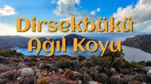 Dirsekbükü, Ağıl Koyu