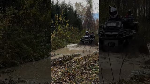 BRP XMR