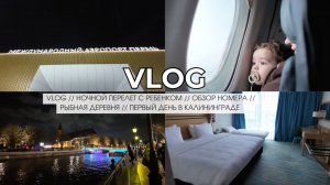 VLOG // НОЧНОЙ ПЕРЕЛЕТ С РЕБЕНКОМ // ОБЗОР НОМЕРА // РЫБНАЯ ДЕРЕВНЯ // ПЕРВЫЙ ДЕНЬ В КАЛИНИНГРАДЕ
