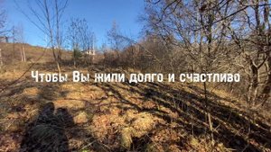 Сказочный лес 2