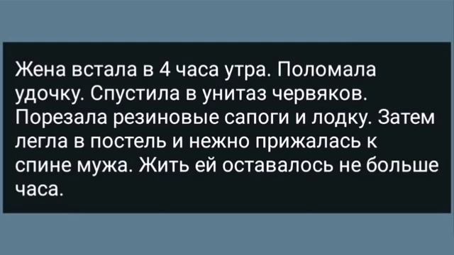 Сборник анекдотов
