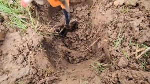 Ищу клад в тайных,пропавших четырех домах.Дома стояли на отшибе деревни. Фильм 1.