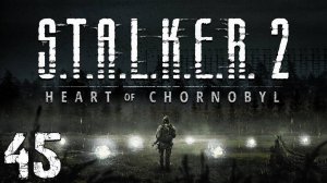 S.T.A.L.K.E.R. 2 Heart of Chornobyl #45. Бар и Дикая Территория