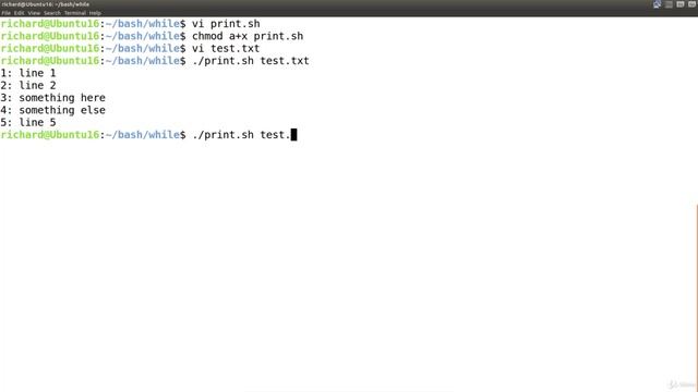 2. Making own cat command with line numbering смотреть онлайн