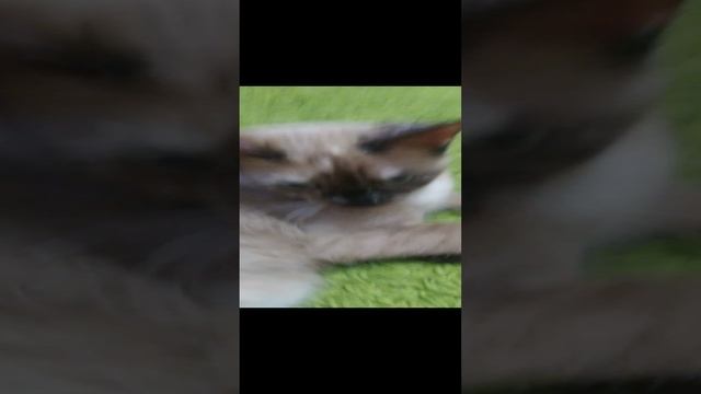08-01-2025