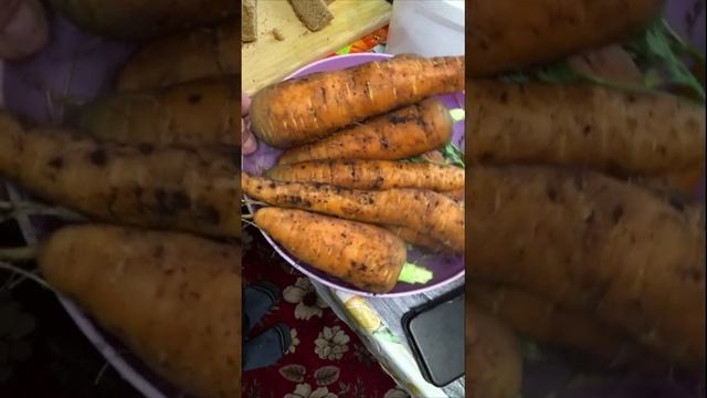 Отличная выросла морковка смотреть онлайн