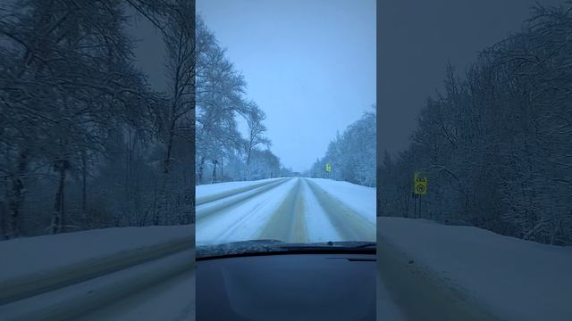 Снежная сказка в Ленинградской области ❄️