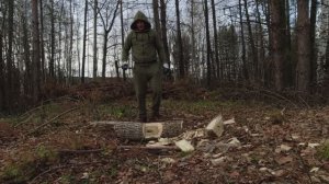 Рубка тополя Лунём.