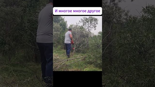 Больше не давайте ему пилу!