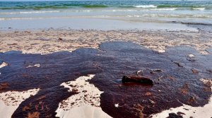 Новые мазутные пятна обнаружены на побережье Евпатории