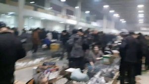 Голубь за 15 000 рублей! Голуби из Кирова, Саратова, Старого Оскола на ярмарке в Воронеже.