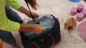 Распаковка конной амуниции