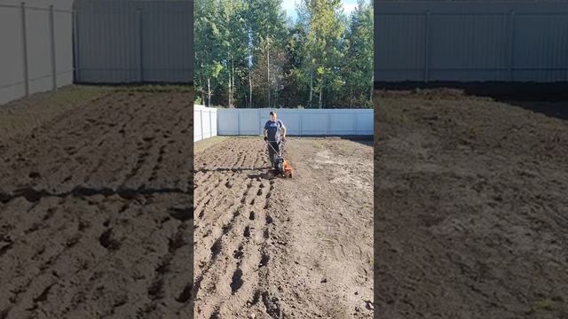 Пашем поле под посев, Сентябрь 2024, Plowing the field  #top