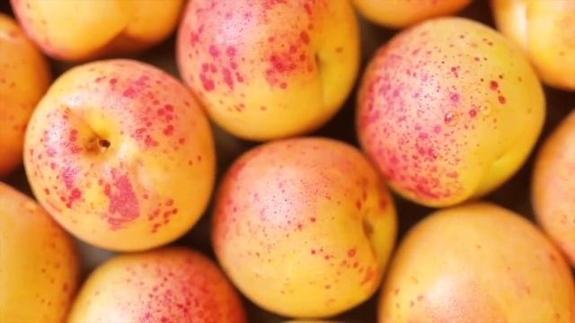 APL Go Product Review | PWR | Vitality for Men смотреть онлайн