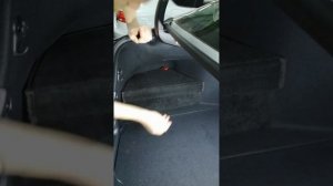 Установка органайзеров в багажник