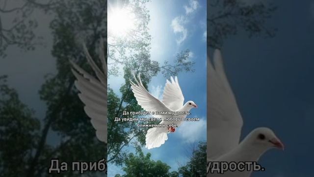 Молитва за мир #молитвазамир