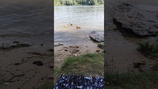 опять река Казанка