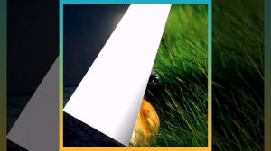 Аё Саёд рахм бикун...! 👍 ✍️ ☝️ ☝️. Ахмад Зохир.🧡🧡🧡