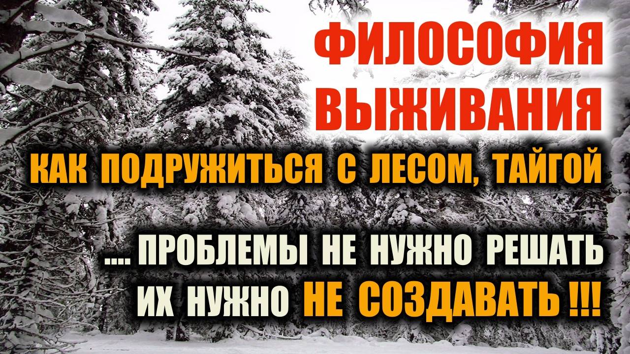 ВЫЖИВАНИЕ В ЛЕСУ, ТАЙГЕ. Как приучить себя к лесу, как избежать проблем в начале и потом. Аспекты.