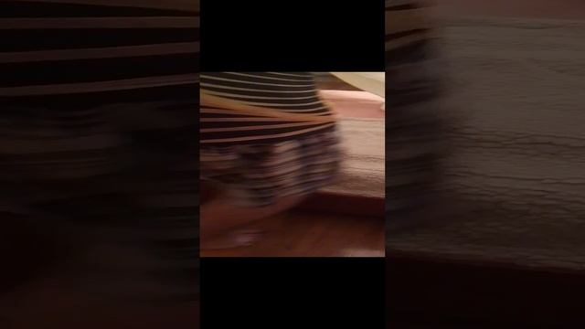 1000000102.mp4