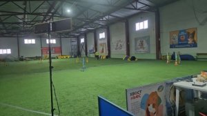 важность хендлера в аджилити