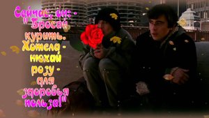 Роза в уличной пыли. Не скажет - от всего сердца прими