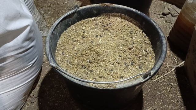 Два способа как сэкономить на кормах смотреть онлайн