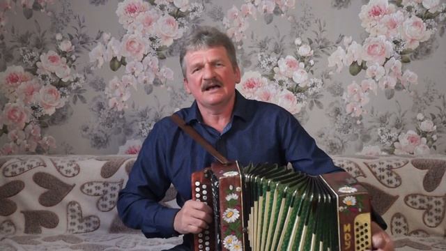 Дельфин. смотреть онлайн