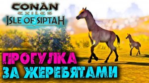 (Архив) Conan Exiles Isle оf Siptah ☛ Жеребята, инструменты из элдариума и первый раб ✌