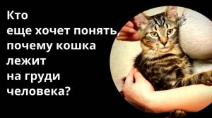 Кто еще хочет понять,почему кошка лежит на груди человека?