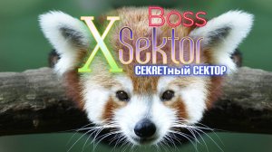 X-SektorBoss 211 - Я так устал...