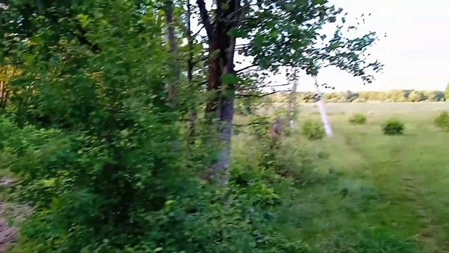 Бугай ледве не покачав пастухів,загоняли всім селом.Скоро буде ковбаса. смотреть онлайн