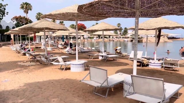 DOMINA CORAL BAY✨ЛУЧШИЙ ОТЕЛЬ В ШАРМ-эль-ШЕЙХЕОБЗОР ОТЕЛЯ #шармэльшейх