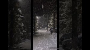 Северный полюс