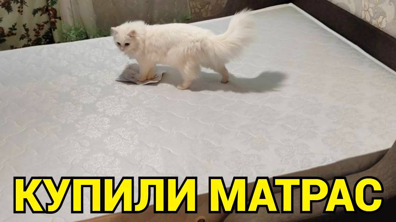 Матрас Веста Стиф 140х200 распаковка смотреть онлайн