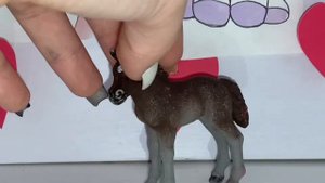 Вся моя коллекция лошадей шляйх и не только💗