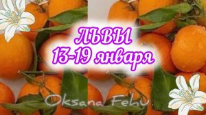 ЛЬВЫ  13-19 января