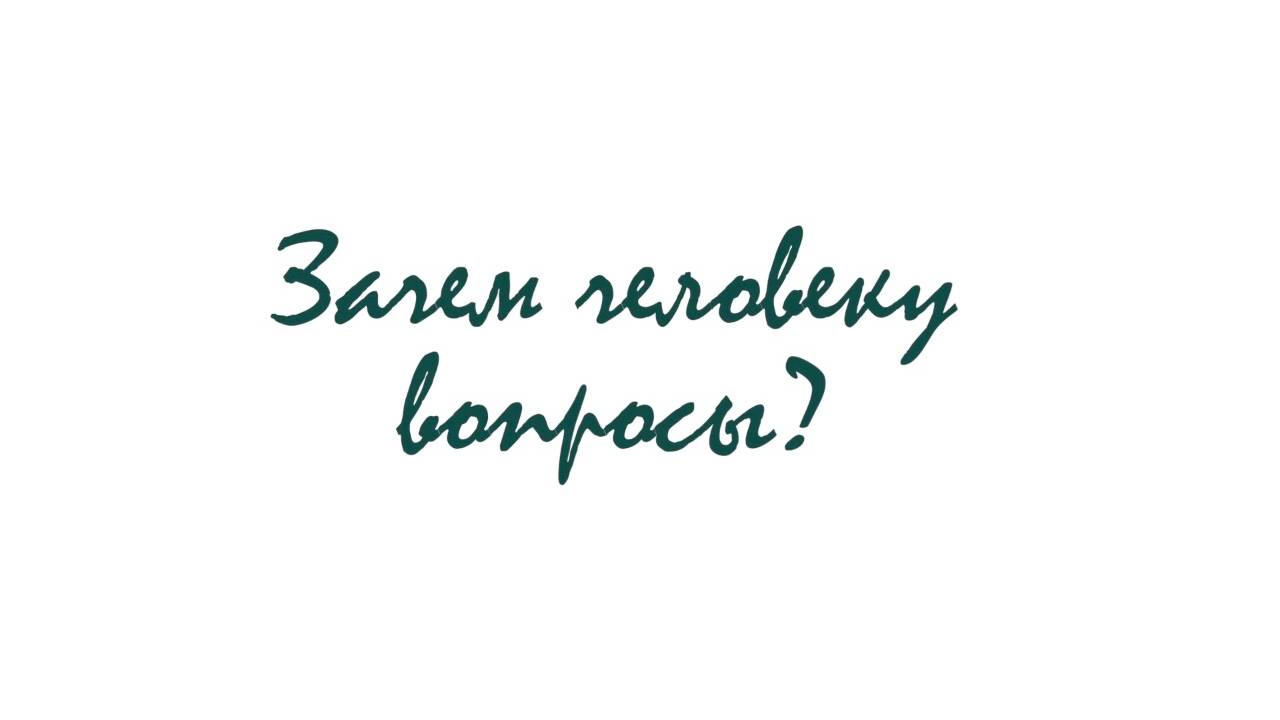 Алексей Коновалов: «Зачем человеку вопросы?»