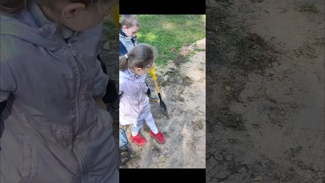 копаем клад у озера искатели сокровищ