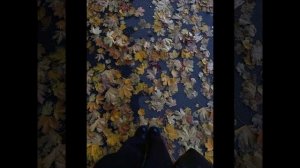 Самая красивая осень