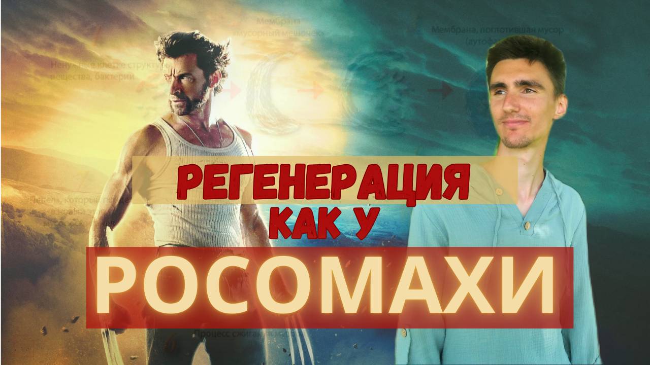 Как жить ДОЛЬШЕ? ОМОЛОЖЕНИЕ на клеточном уровне