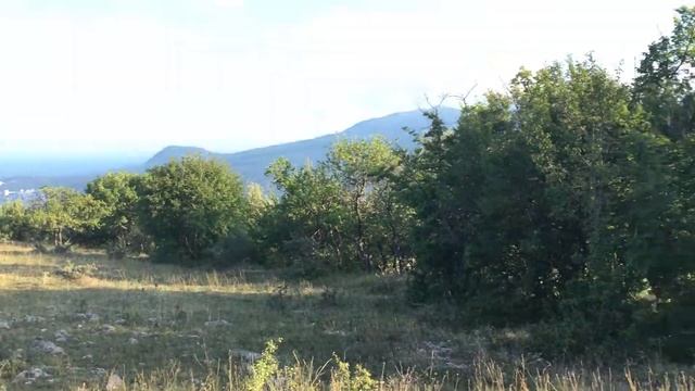 Земельные участки в Алуште. Верхняя Кутузовка.
