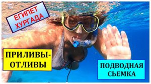 🔴Обзор ПЛЯЖА🔴Подводного мира🔴РИФ🔴Stella Di Mare Beach Makadi🔴Египет SEA REEF🔴Опасность рядом